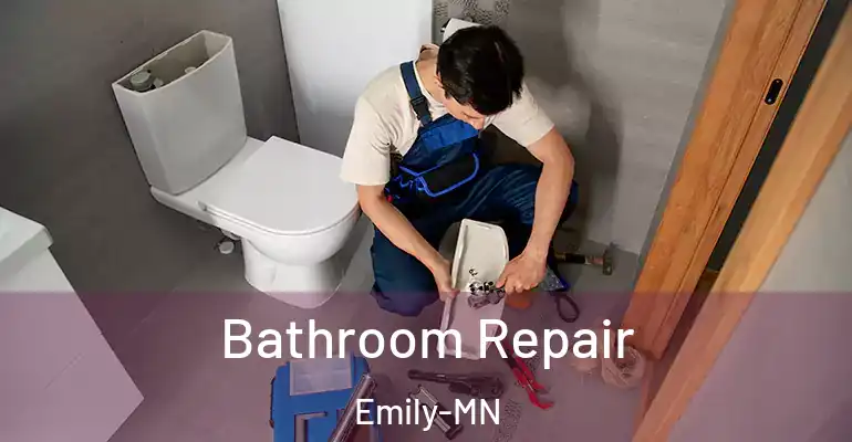 inner Bathroom imggen Bathroom Repair Emily-MN