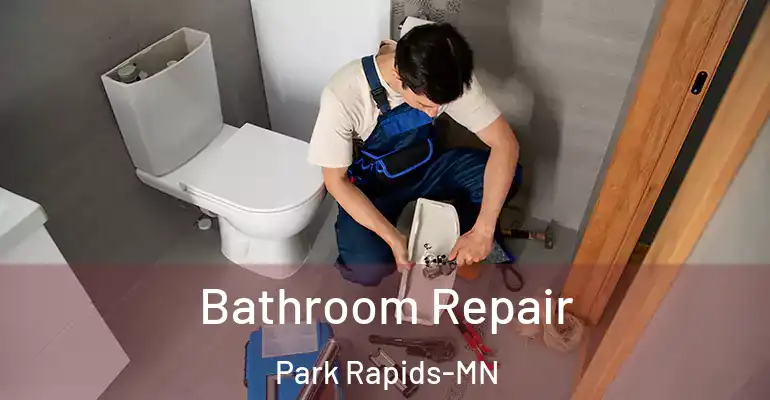 inner Bathroom imggen Bathroom Repair Park Rapids-MN