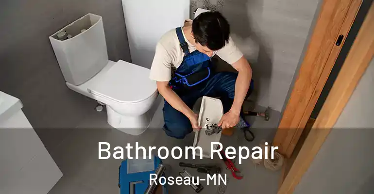 inner Bathroom imggen Bathroom Repair Roseau-MN