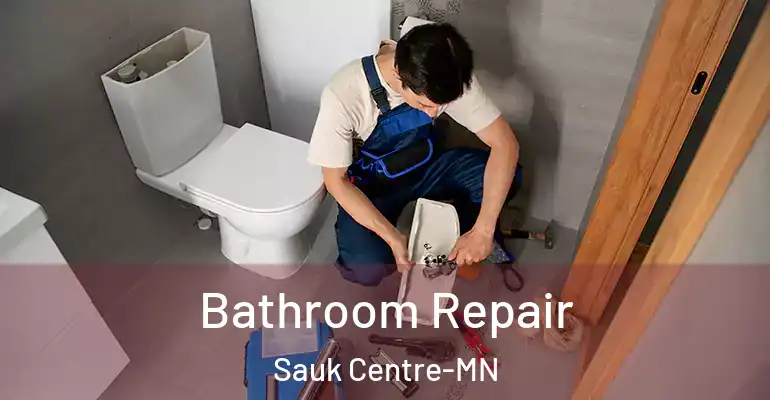inner Bathroom imggen Bathroom Repair Sauk Centre-MN