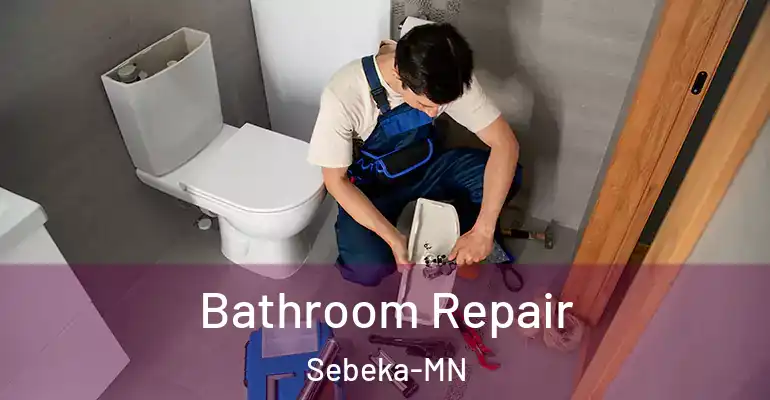 inner Bathroom imggen Bathroom Repair Sebeka-MN