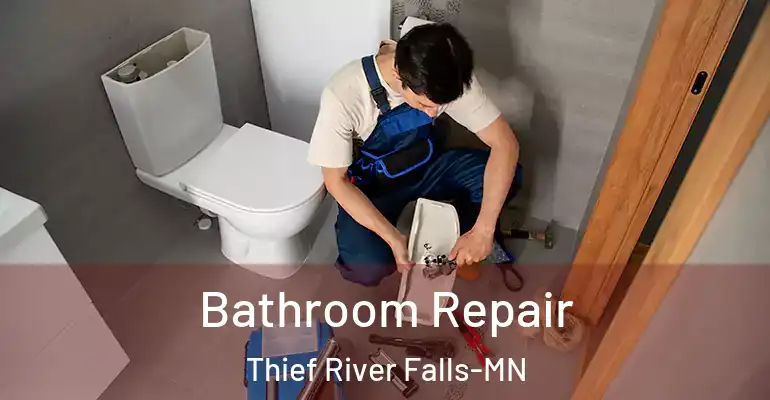 inner Bathroom imggen Bathroom Repair Thief River Falls-MN