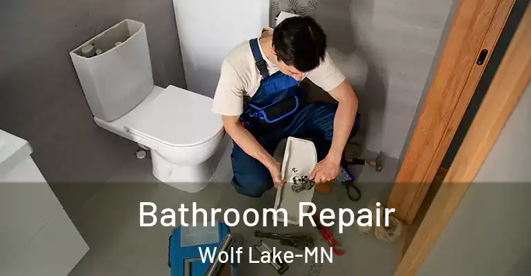 inner Bathroom imggen Bathroom Repair Wolf Lake-MN
