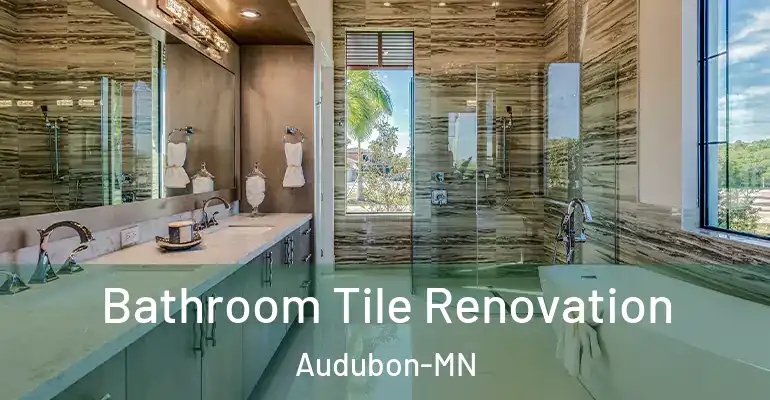 inner Bathroom imggen Bathroom Tile Renovation Audubon-MN