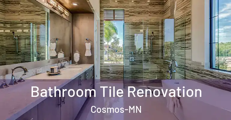 inner Bathroom imggen Bathroom Tile Renovation Cosmos-MN