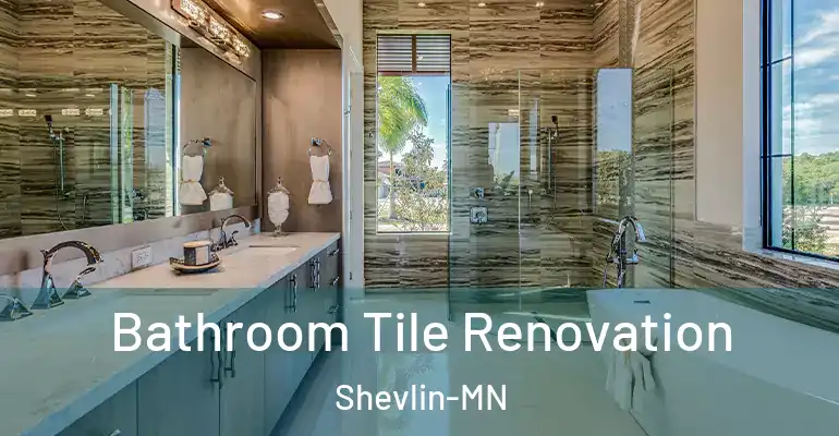 inner Bathroom imggen Bathroom Tile Renovation Shevlin-MN