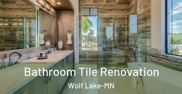 inner Bathroom imggen Bathroom Tile Renovation Wolf Lake-MN