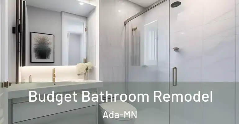 inner Bathroom imggen Budget Bathroom Remodel Ada-MN