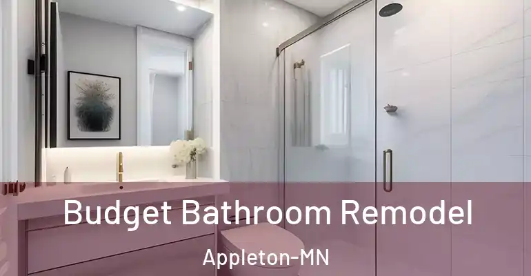 inner Bathroom imggen Budget Bathroom Remodel Appleton-MN
