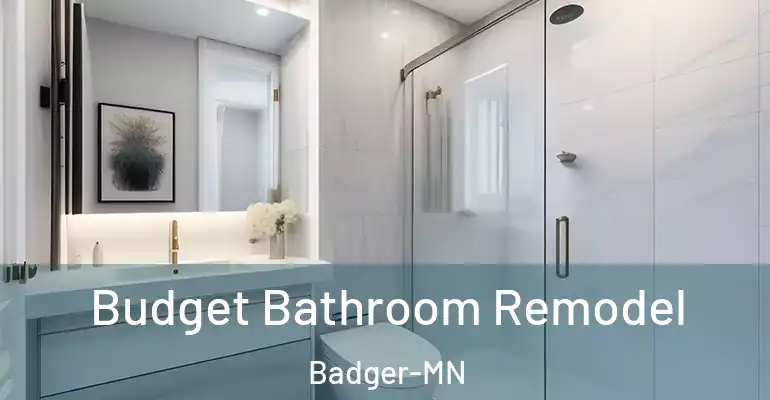 inner Bathroom imggen Budget Bathroom Remodel Badger-MN