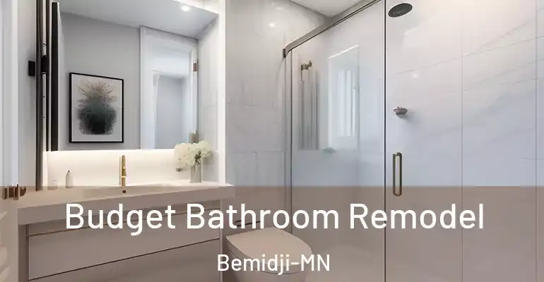 inner Bathroom imggen Budget Bathroom Remodel Bemidji-MN