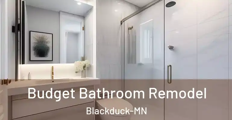 inner Bathroom imggen Budget Bathroom Remodel Blackduck-MN