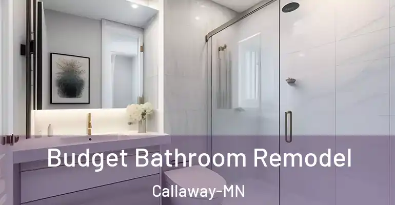 inner Bathroom imggen Budget Bathroom Remodel Callaway-MN