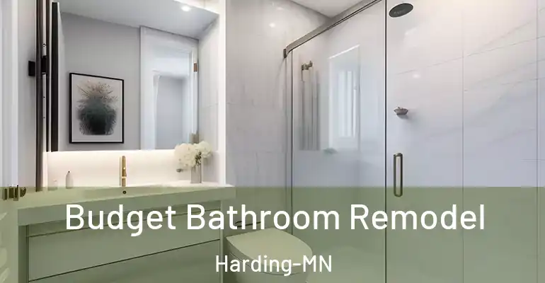 inner Bathroom imggen Budget Bathroom Remodel Harding-MN