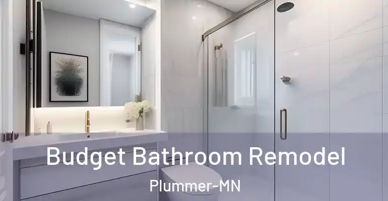 inner Bathroom imggen Budget Bathroom Remodel Plummer-MN