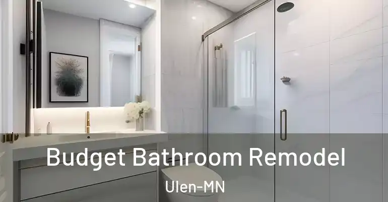 inner Bathroom imggen Budget Bathroom Remodel Ulen-MN