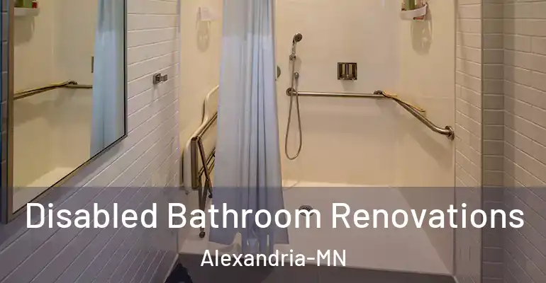 inner Bathroom imggen Disabled Bathroom Renovations Alexandria-MN