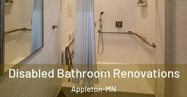 inner Bathroom imggen Disabled Bathroom Renovations Appleton-MN