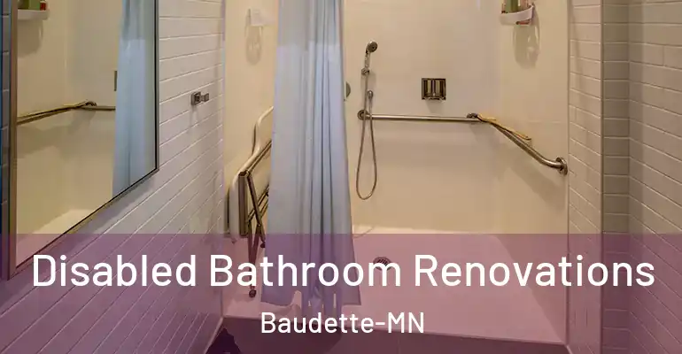 inner Bathroom imggen Disabled Bathroom Renovations Baudette-MN