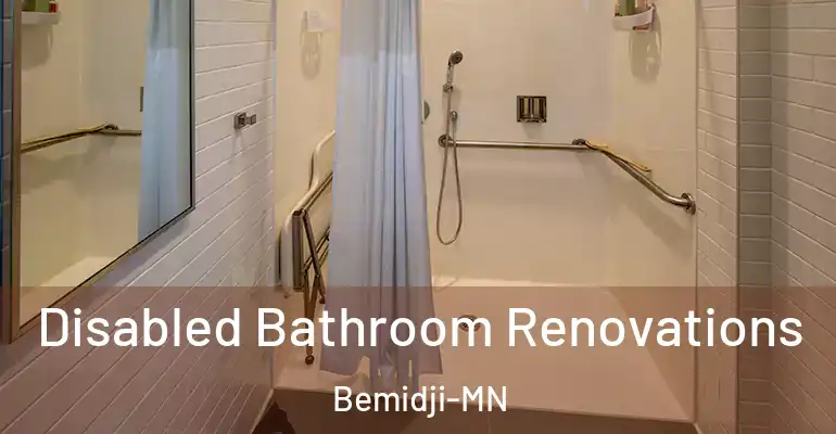 inner Bathroom imggen Disabled Bathroom Renovations Bemidji-MN