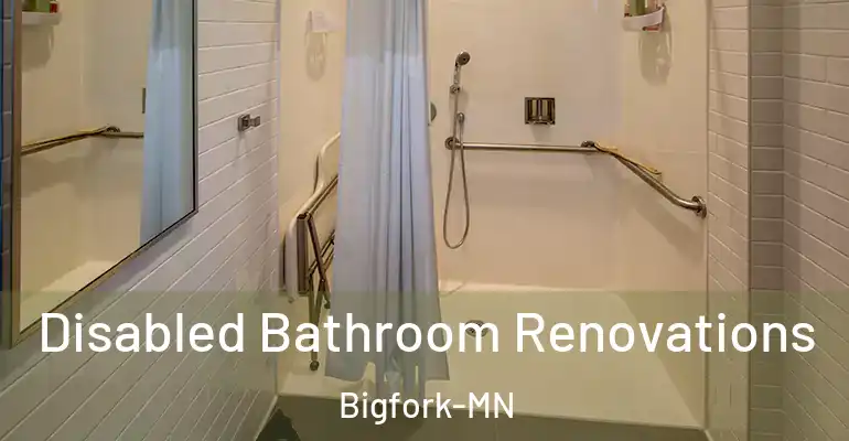 inner Bathroom imggen Disabled Bathroom Renovations Bigfork-MN