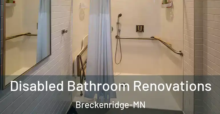 inner Bathroom imggen Disabled Bathroom Renovations Breckenridge-MN