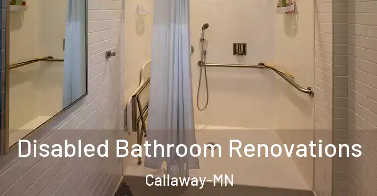 inner Bathroom imggen Disabled Bathroom Renovations Callaway-MN