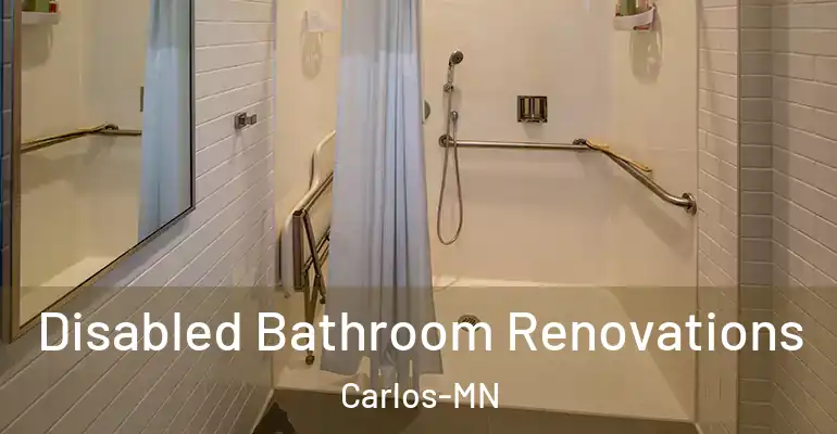 inner Bathroom imggen Disabled Bathroom Renovations Carlos-MN