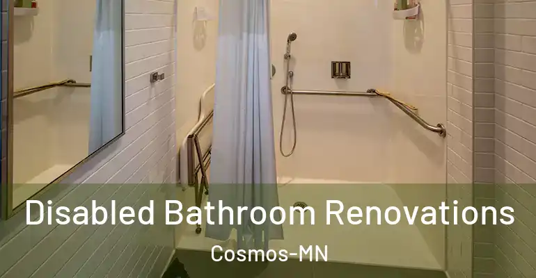inner Bathroom imggen Disabled Bathroom Renovations Cosmos-MN