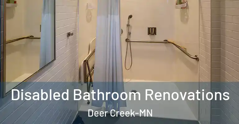 inner Bathroom imggen Disabled Bathroom Renovations Deer Creek-MN