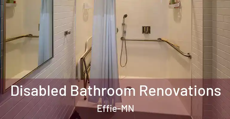 inner Bathroom imggen Disabled Bathroom Renovations Effie-MN