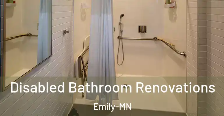 inner Bathroom imggen Disabled Bathroom Renovations Emily-MN