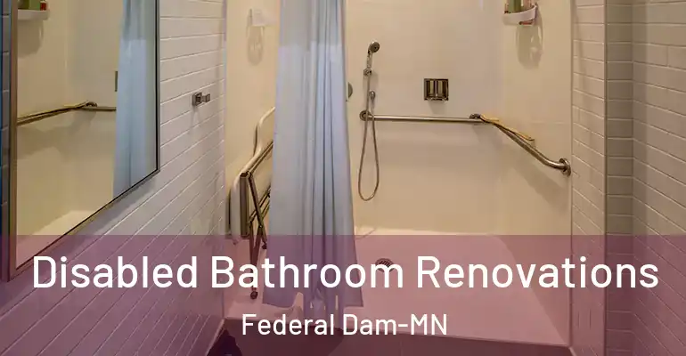 inner Bathroom imggen Disabled Bathroom Renovations Federal Dam-MN