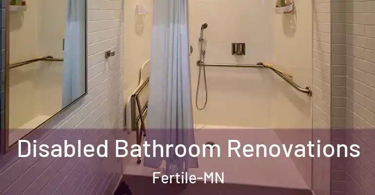 inner Bathroom imggen Disabled Bathroom Renovations Fertile-MN