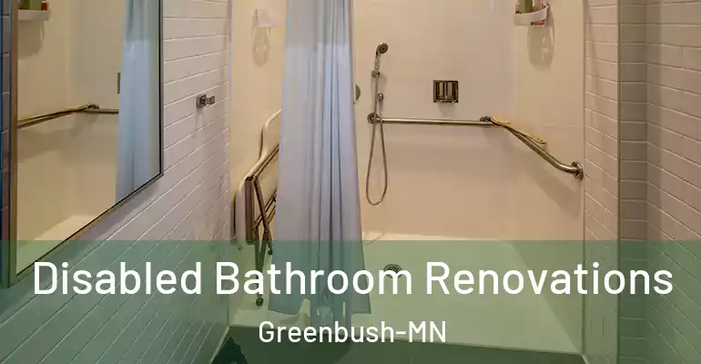 inner Bathroom imggen Disabled Bathroom Renovations Greenbush-MN
