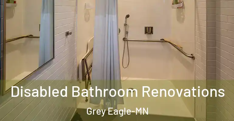 inner Bathroom imggen Disabled Bathroom Renovations Grey Eagle-MN