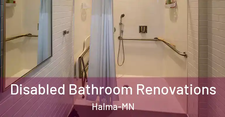 inner Bathroom imggen Disabled Bathroom Renovations Halma-MN