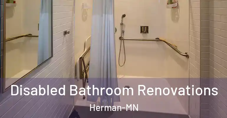 inner Bathroom imggen Disabled Bathroom Renovations Herman-MN