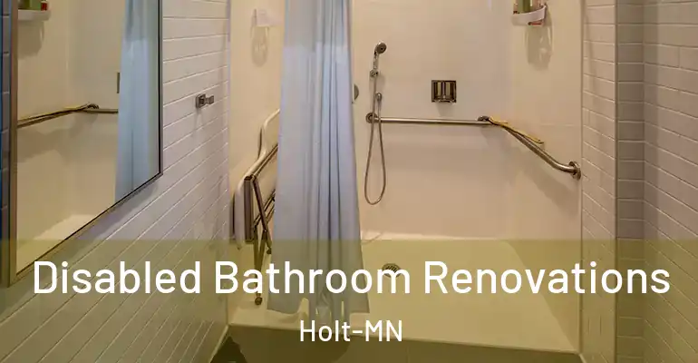 inner Bathroom imggen Disabled Bathroom Renovations Holt-MN