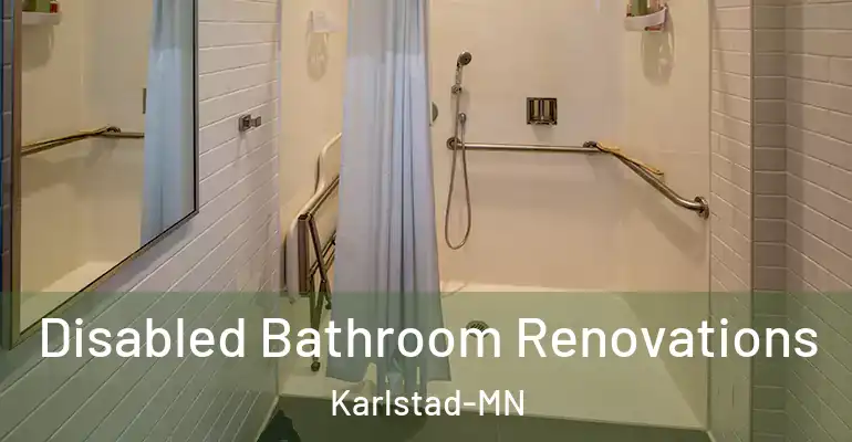 inner Bathroom imggen Disabled Bathroom Renovations Karlstad-MN