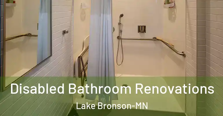 inner Bathroom imggen Disabled Bathroom Renovations Lake Bronson-MN