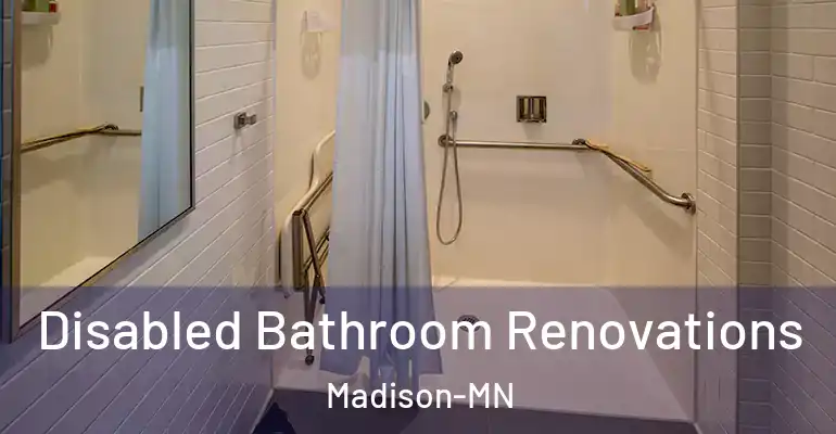 inner Bathroom imggen Disabled Bathroom Renovations Madison-MN