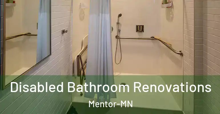 inner Bathroom imggen Disabled Bathroom Renovations Mentor-MN