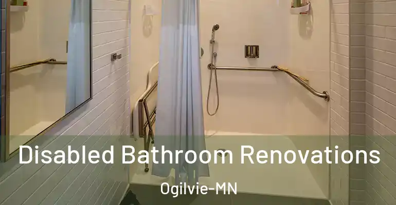 inner Bathroom imggen Disabled Bathroom Renovations Ogilvie-MN