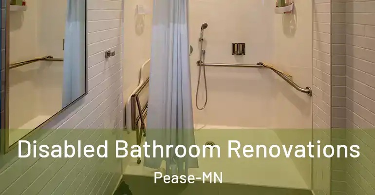 inner Bathroom imggen Disabled Bathroom Renovations Pease-MN