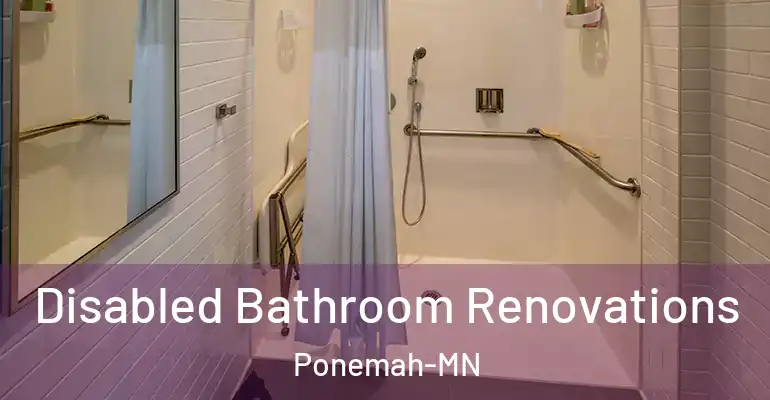 inner Bathroom imggen Disabled Bathroom Renovations Ponemah-MN