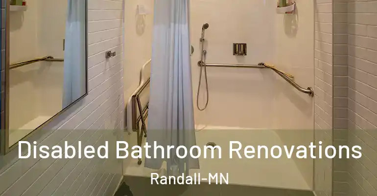 inner Bathroom imggen Disabled Bathroom Renovations Randall-MN