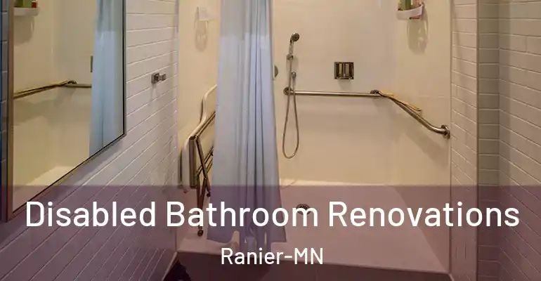 inner Bathroom imggen Disabled Bathroom Renovations Ranier-MN