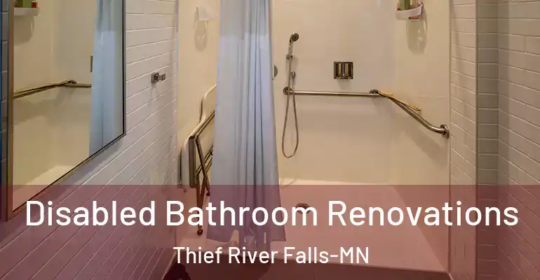 inner Bathroom imggen Disabled Bathroom Renovations Thief River Falls-MN