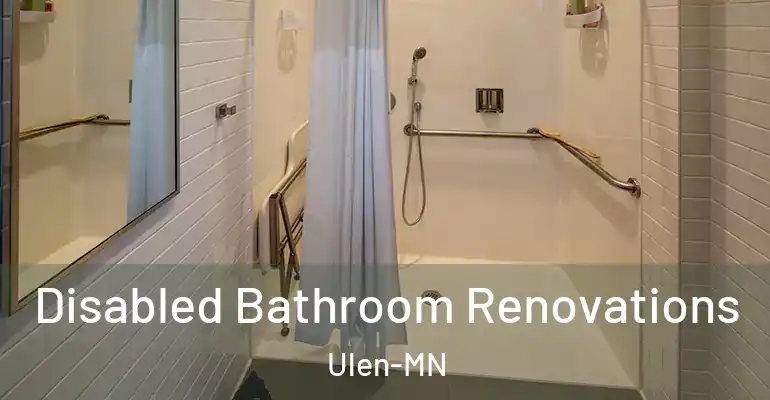 inner Bathroom imggen Disabled Bathroom Renovations Ulen-MN